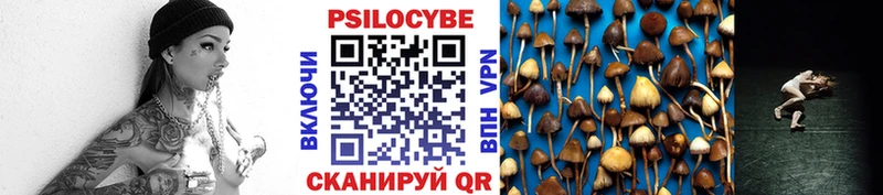Галлюциногенные грибы MAGIC MUSHROOMS  Горно-Алтайск 